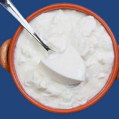 Curd Culture